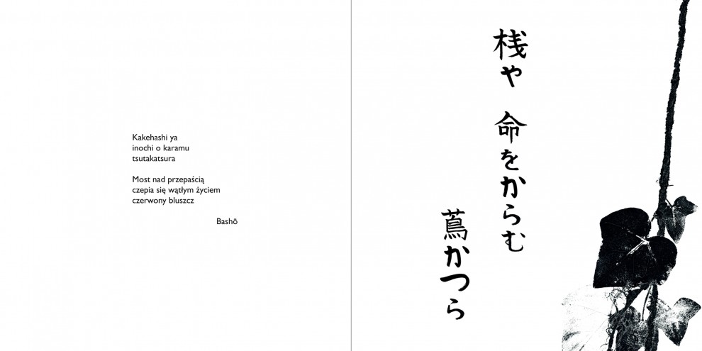 Książka Haiku IV